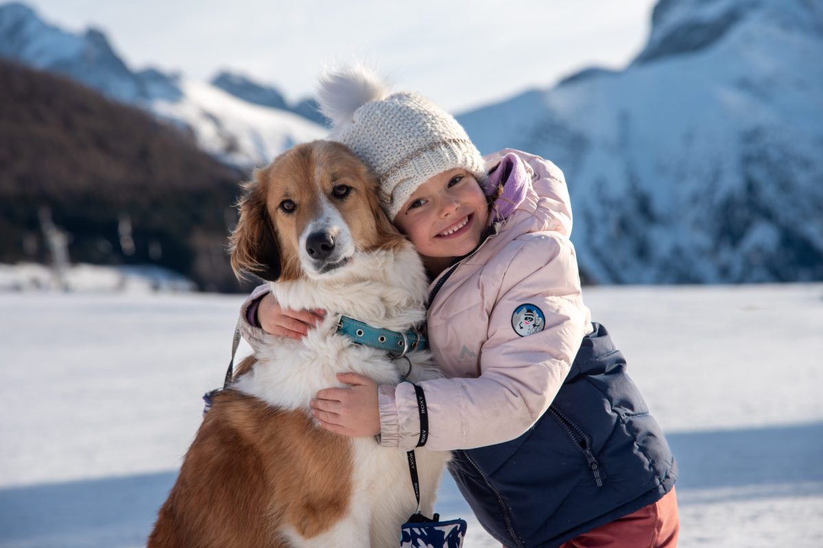 Photographie enfant chien